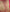 Gold Semi Kanchi Saree With Pink Blouse