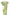 Green Crush Chiffon Saree with Matching Blouse