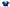 Blue Bandhej Saree with Matching Blouse