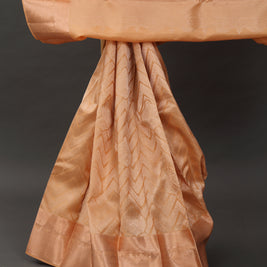 Soft Champagne Kanchipuram Silk Saree