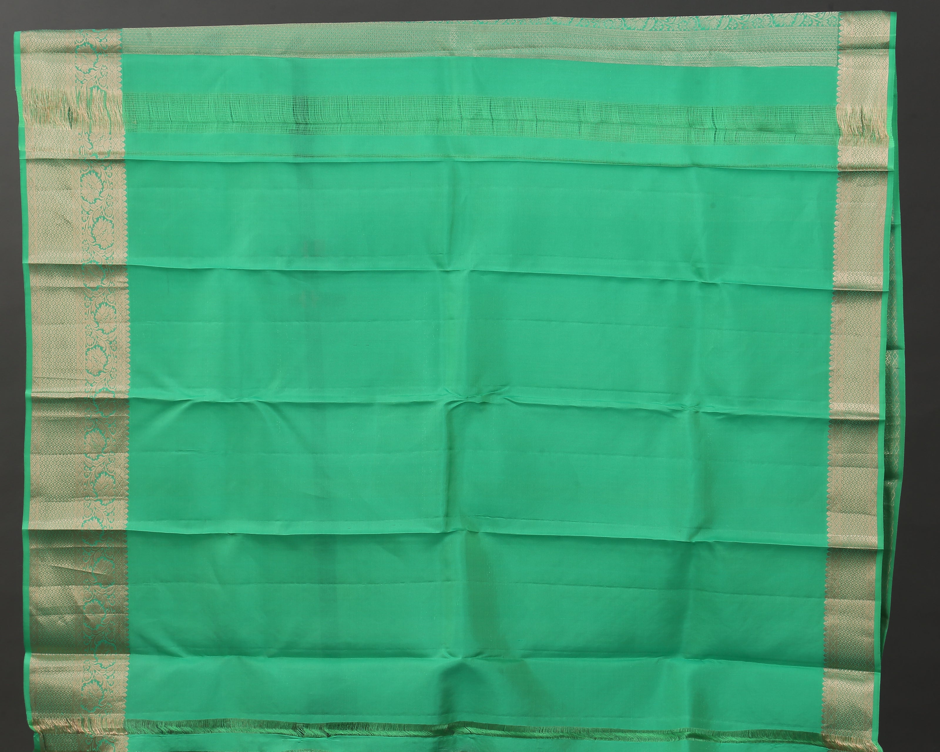Pastel Green Kanchipuram Silk Saree